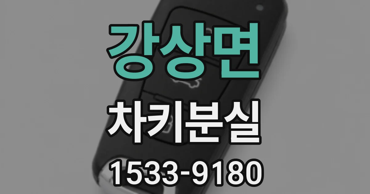 강상면 차키분실