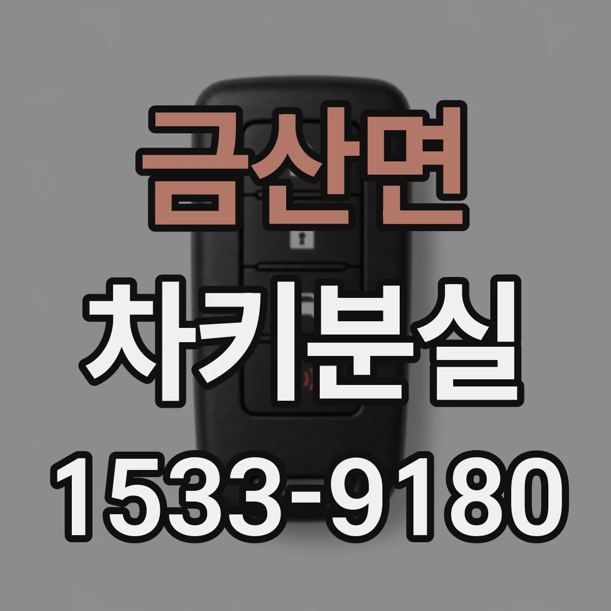 금산면 차키분실