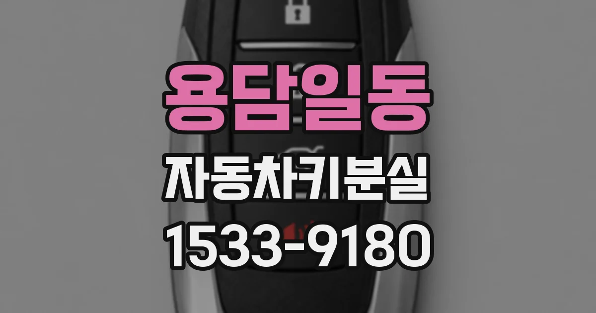 용담일동 자동차키분실