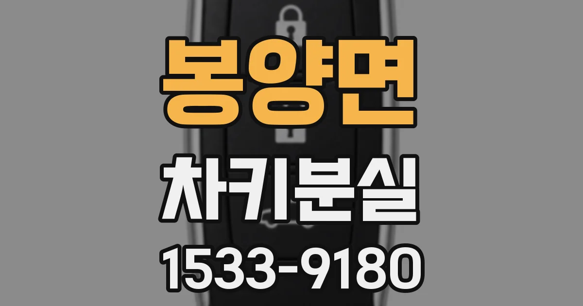 봉양면 차키분실