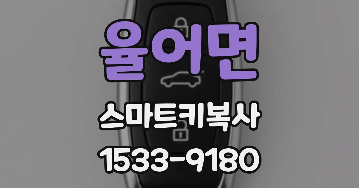 율어면 스마트키복사