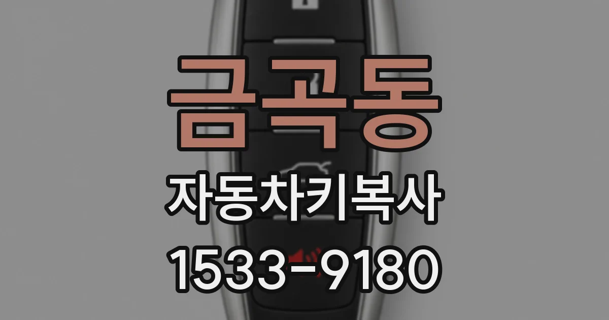 금곡동 자동차키복사