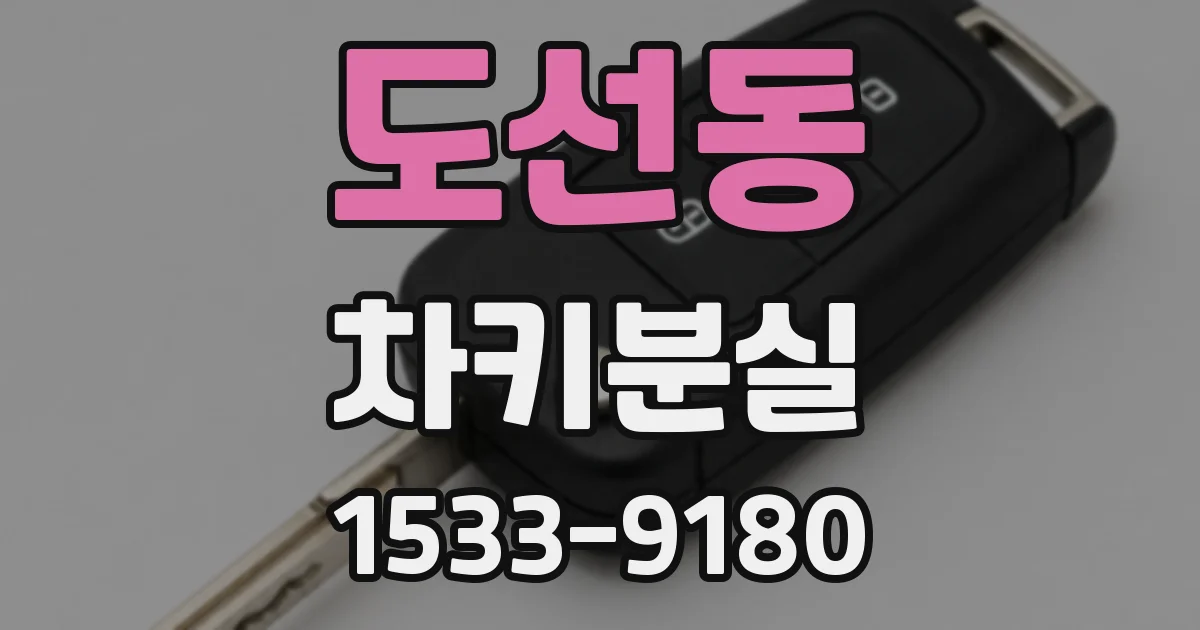 도선동 차키분실
