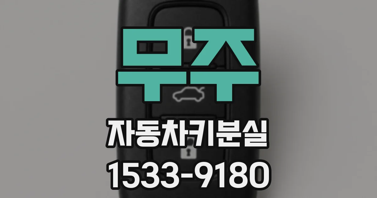 무주 자동차키분실