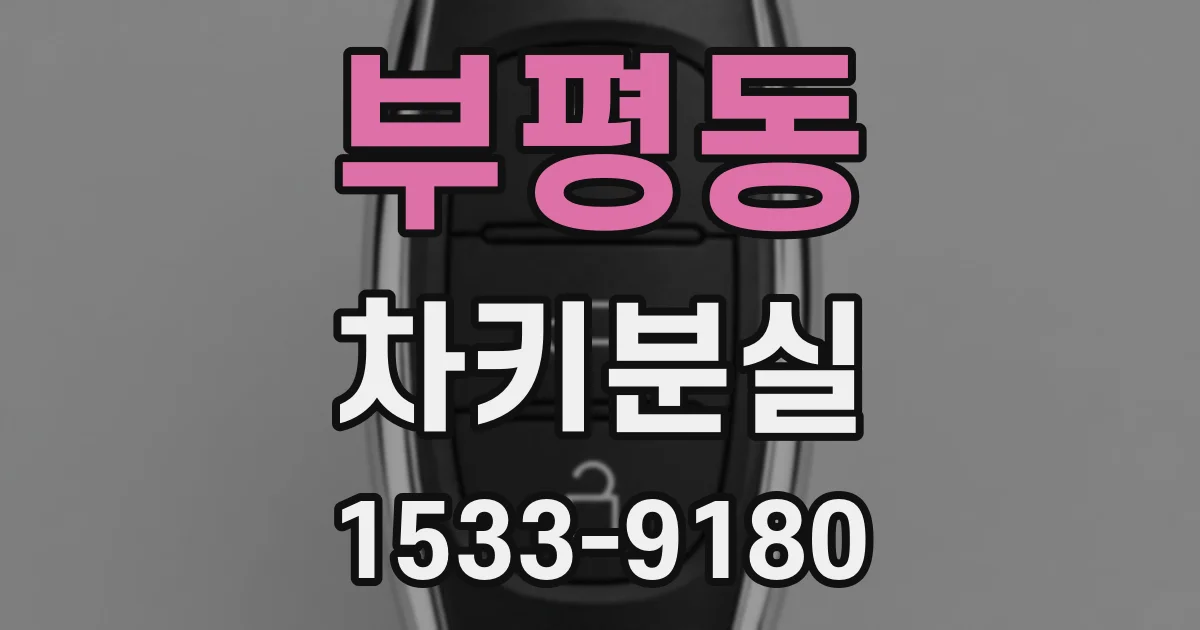 부평동 차키분실