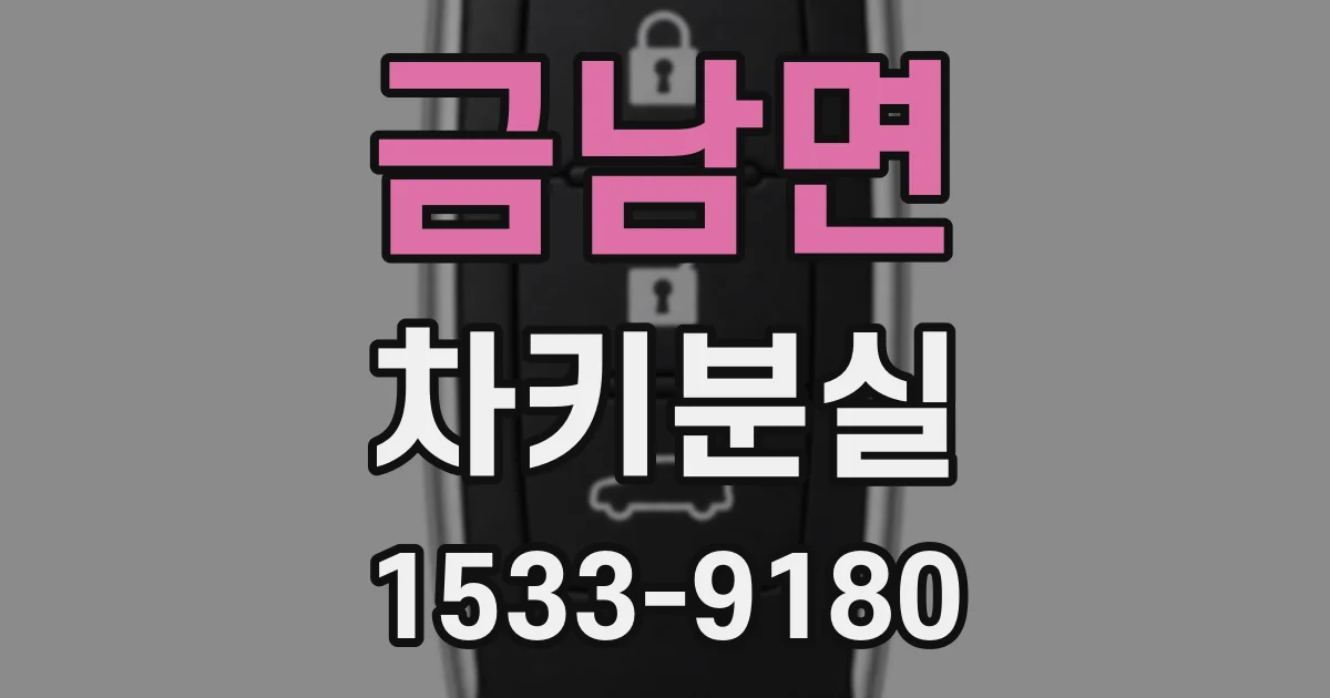 금남면 차키분실