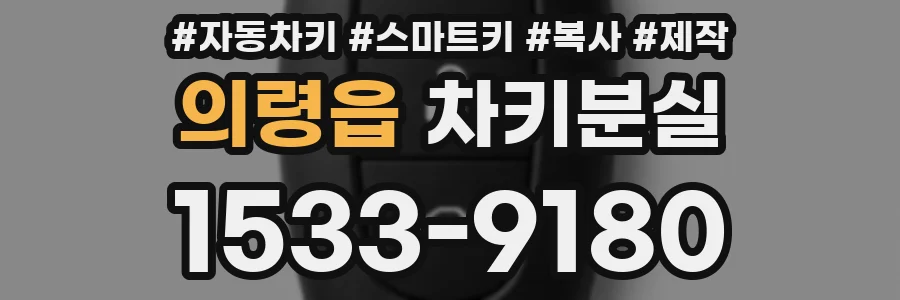 의령읍 차키분실