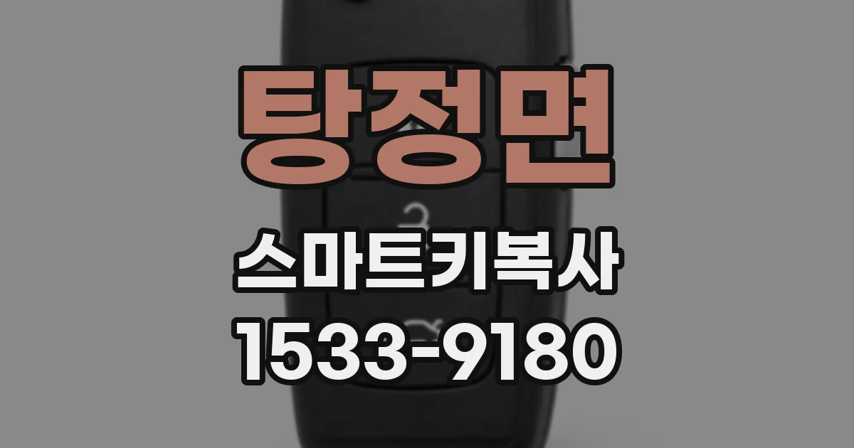 탕정면 스마트키복사