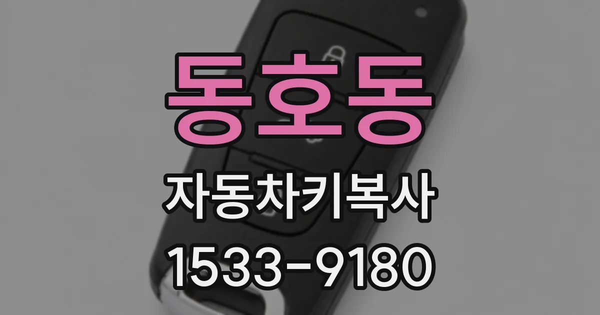 동호동 자동차키복사