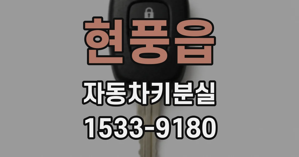 현풍읍 자동차키분실