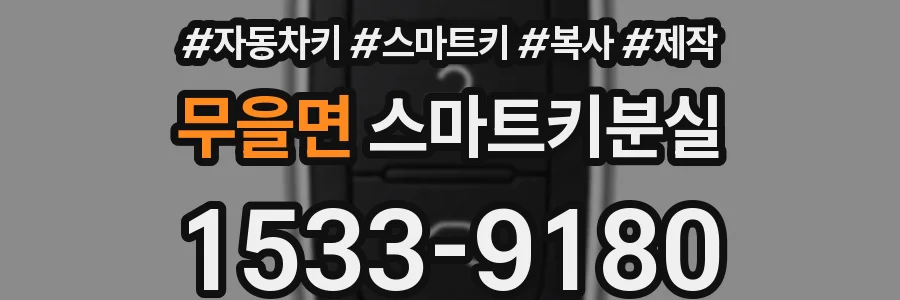 무을면 스마트키분실