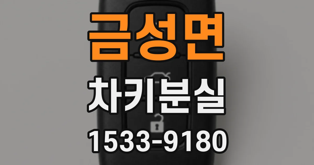 금성면 차키분실