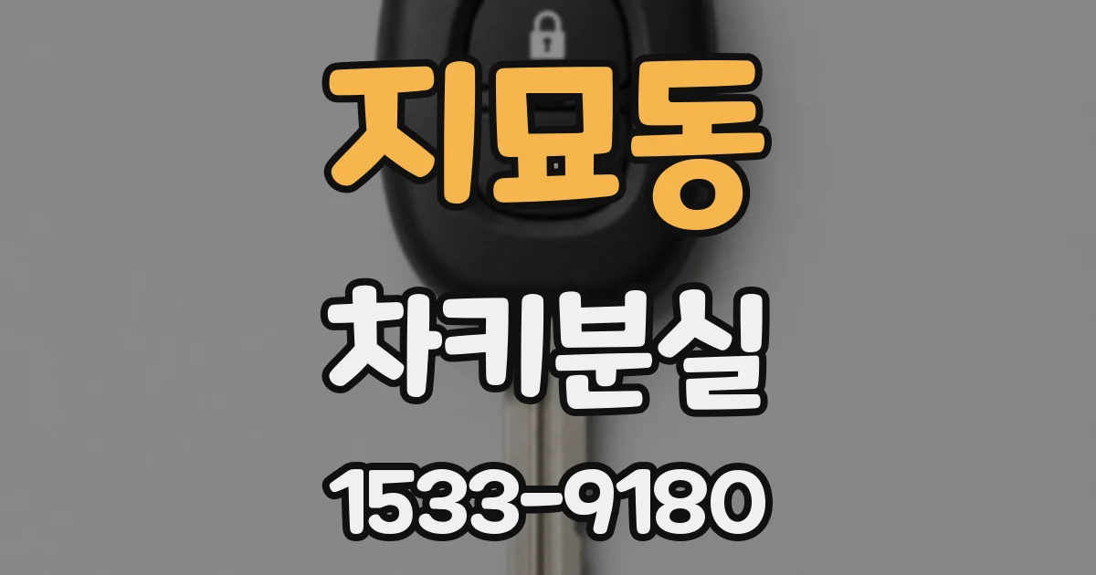 지묘동 차키분실