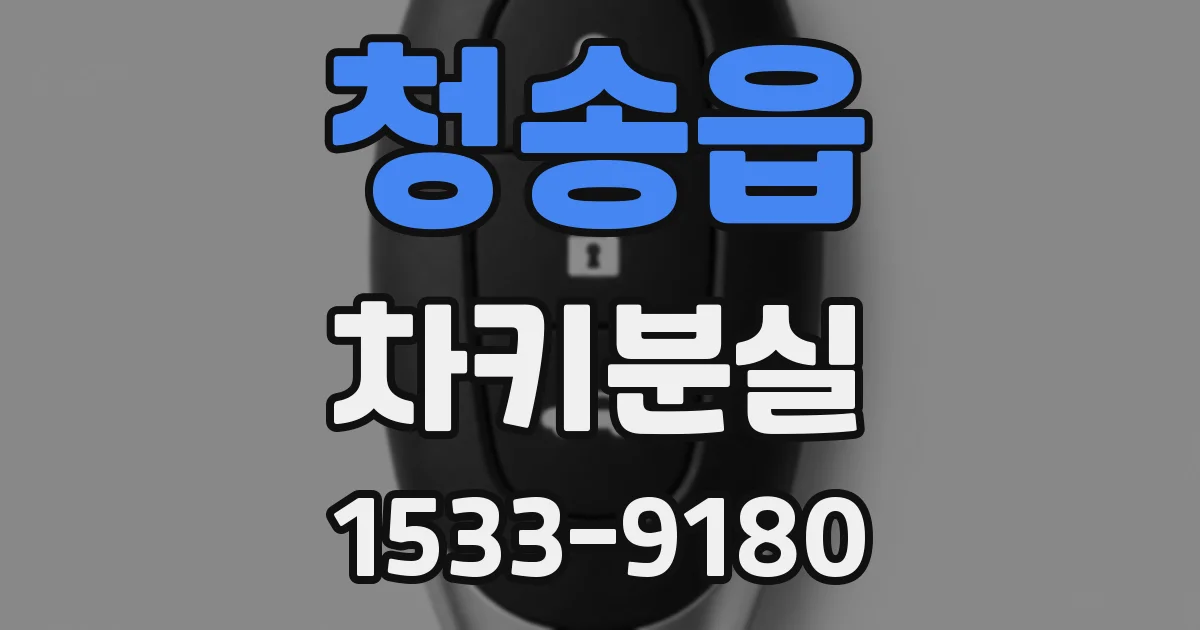 청송읍 차키분실