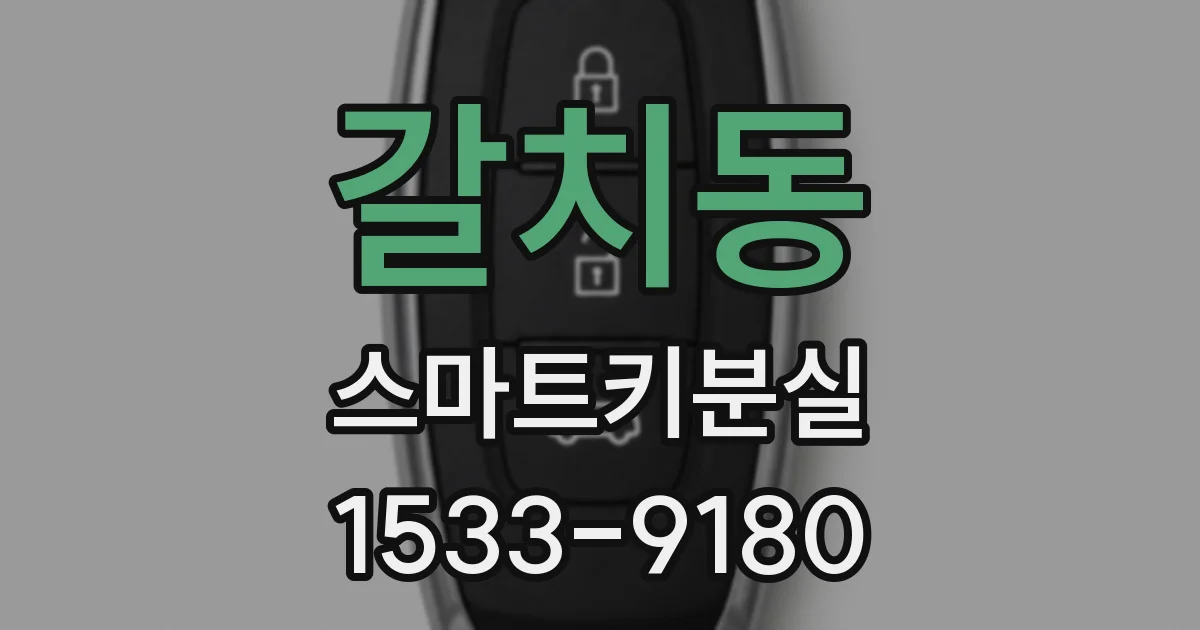 갈치동 스마트키분실