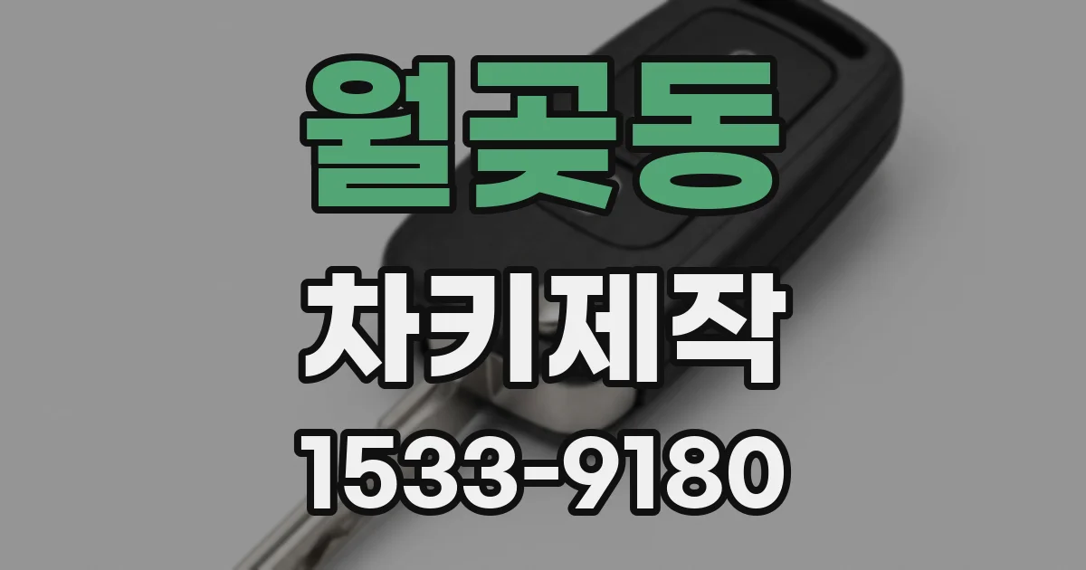 월곶동 차키제작