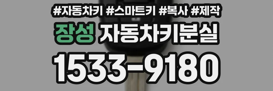 장성 자동차키분실