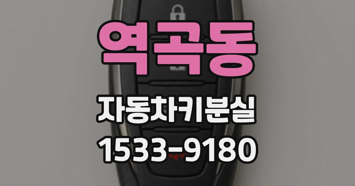 역곡동 자동차키분실