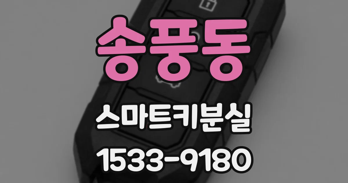 송풍동 스마트키분실