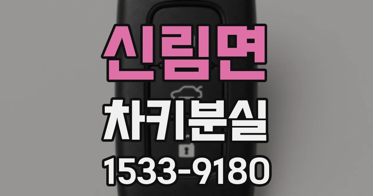 신림면 차키분실