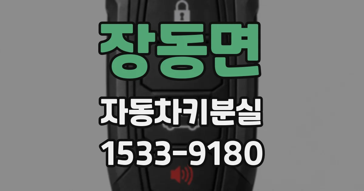 장동면 자동차키분실