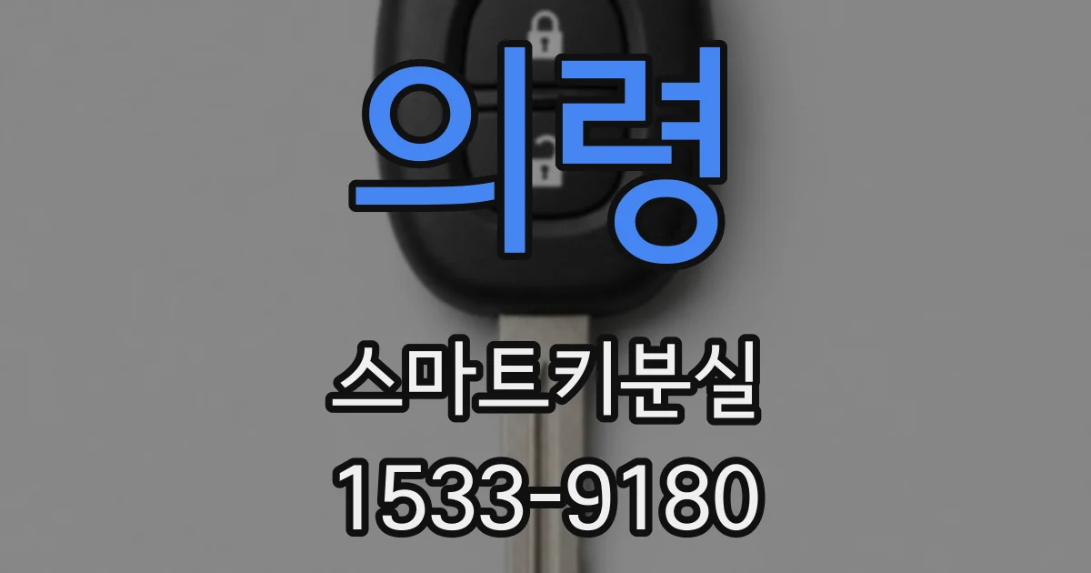 의령 스마트키분실