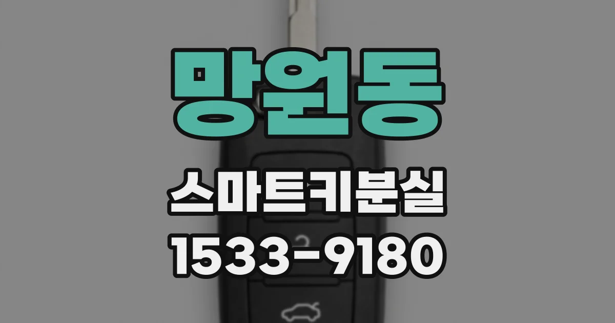 망원동 스마트키분실