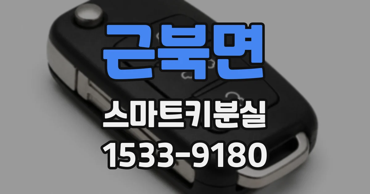 근북면 스마트키분실