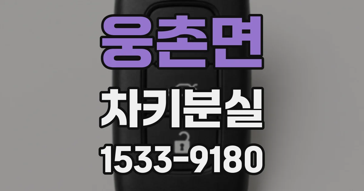 웅촌면 차키분실