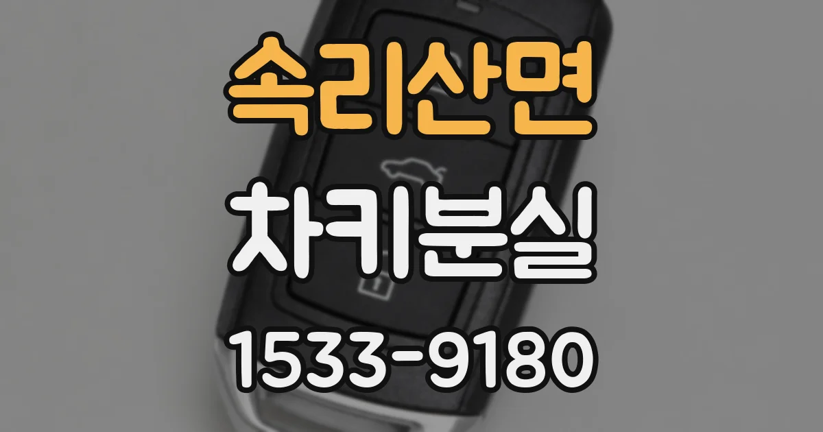 속리산면 차키분실
