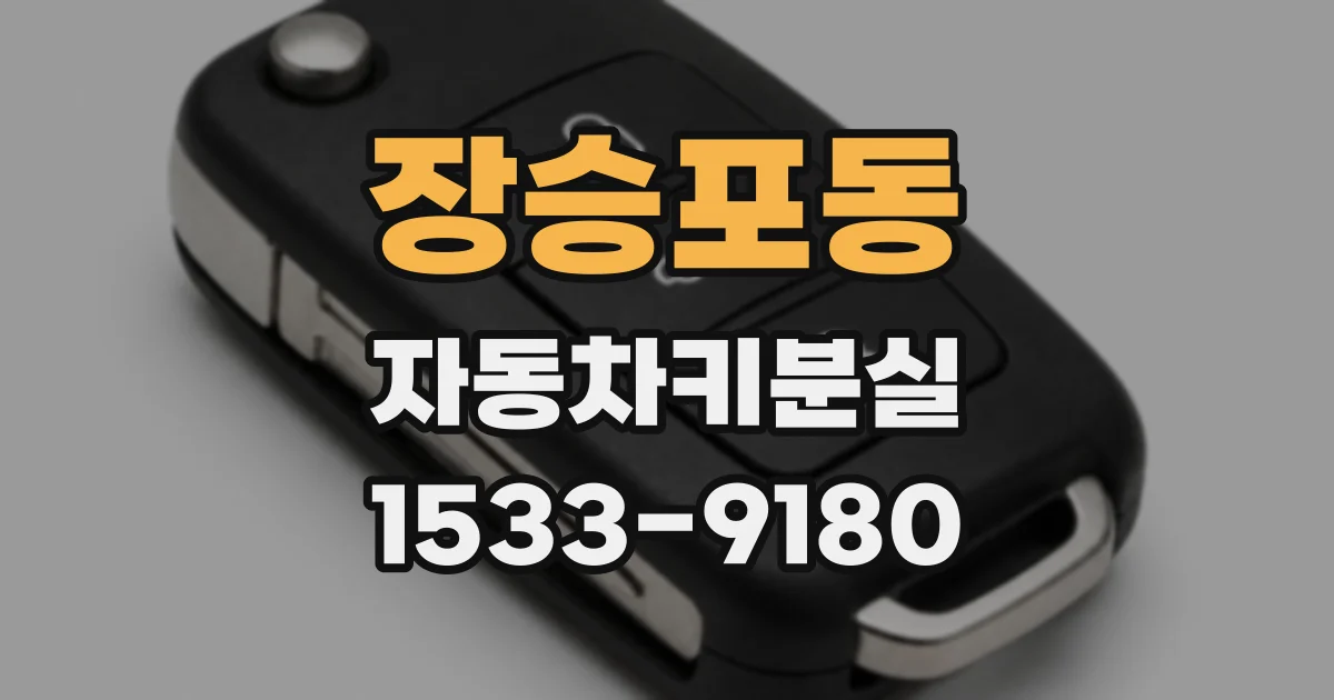 장승포동 자동차키분실