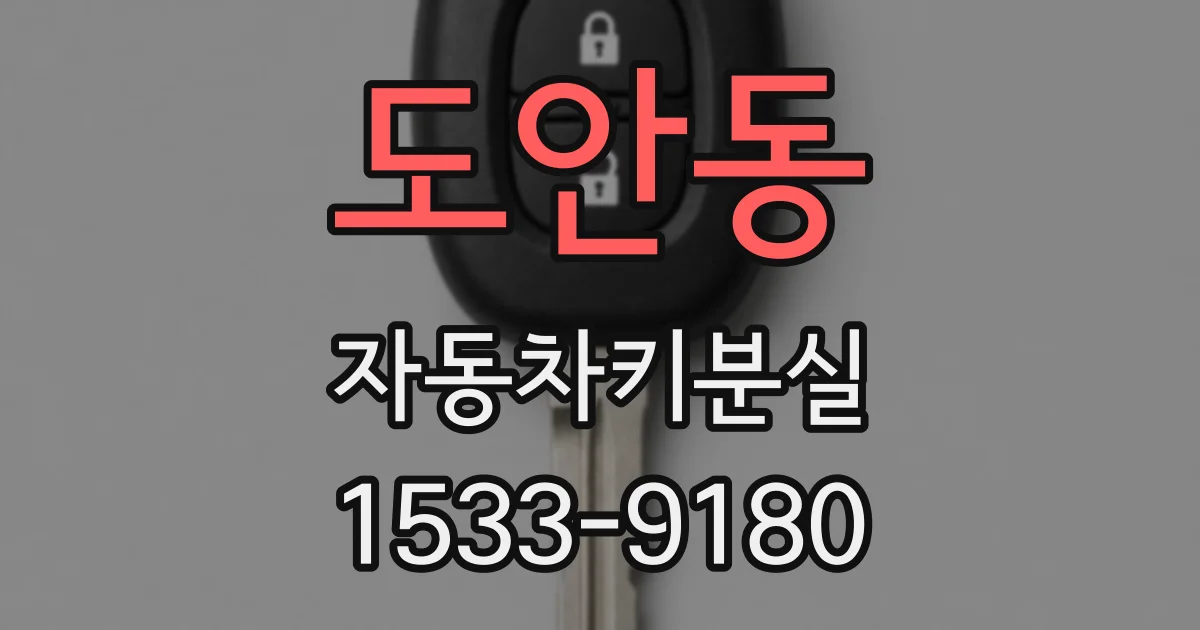 도안동 자동차키분실