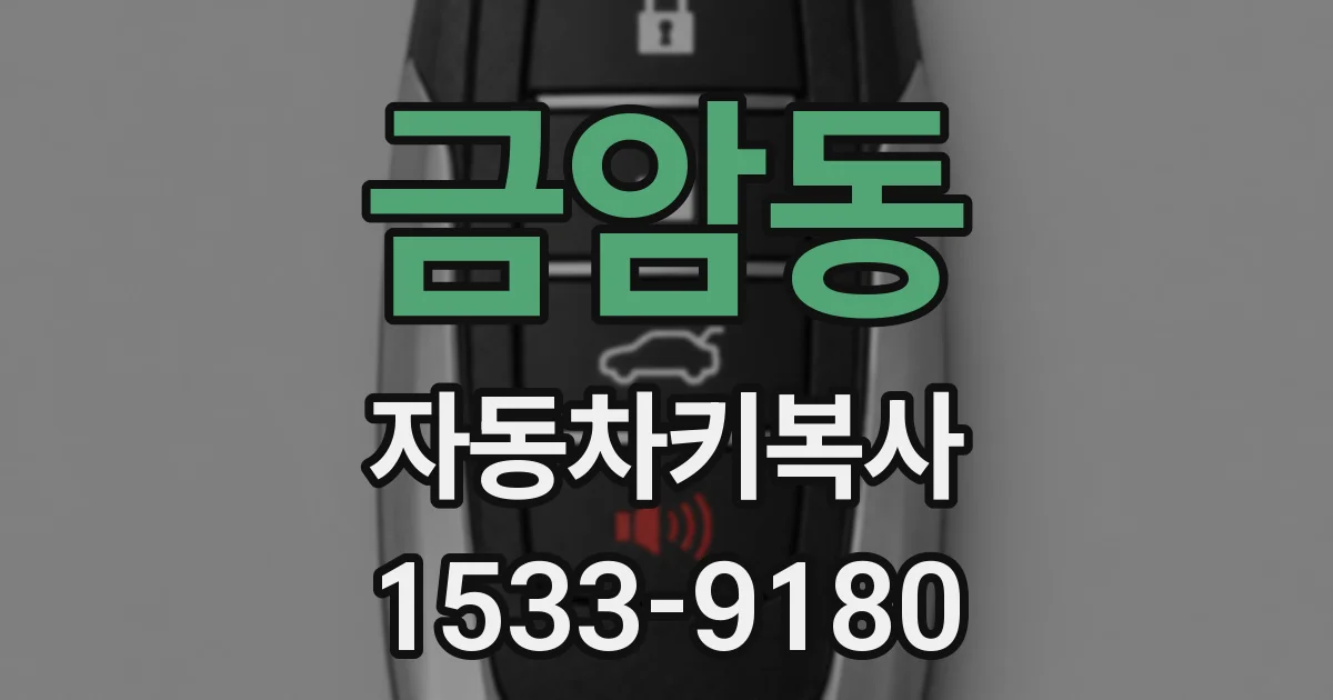금암동 자동차키복사
