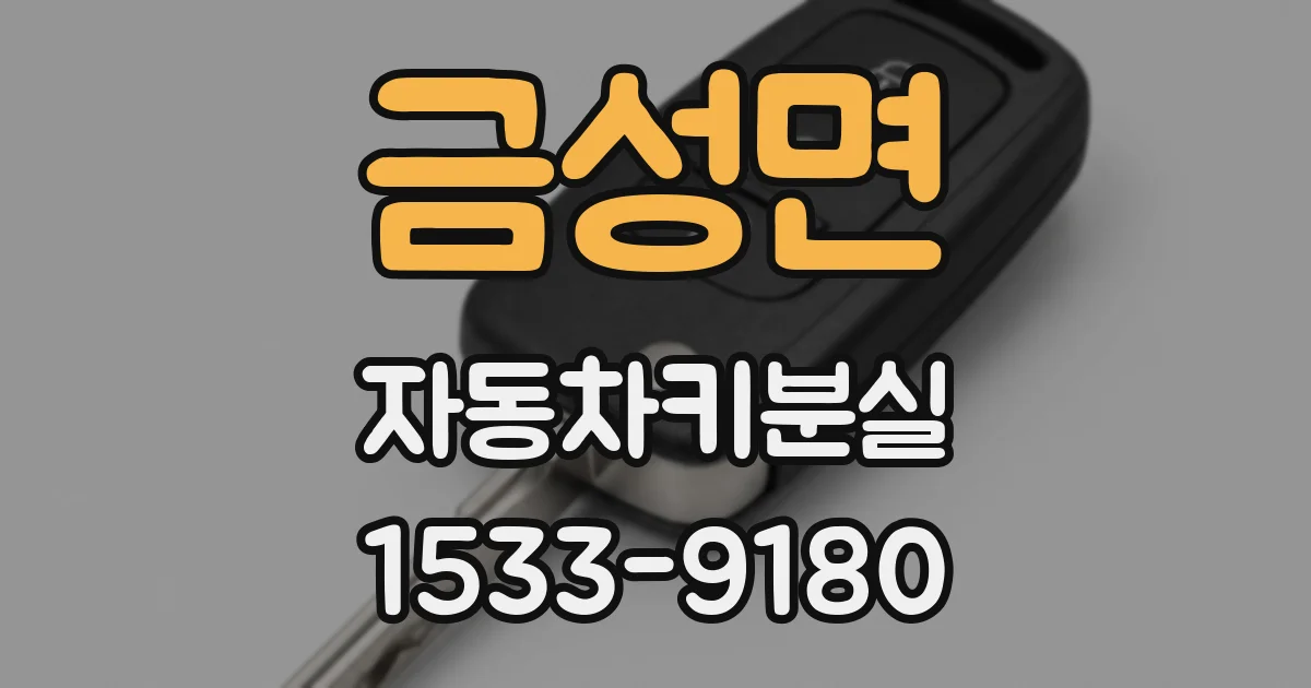 금성면 자동차키분실