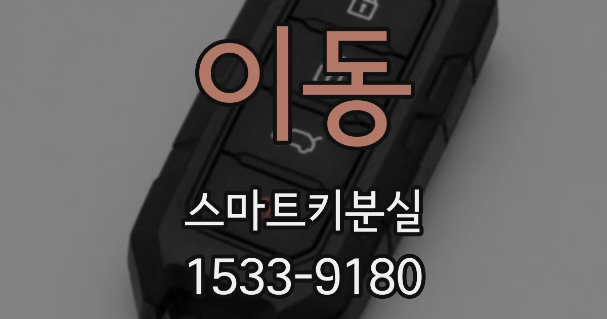 이동 스마트키분실