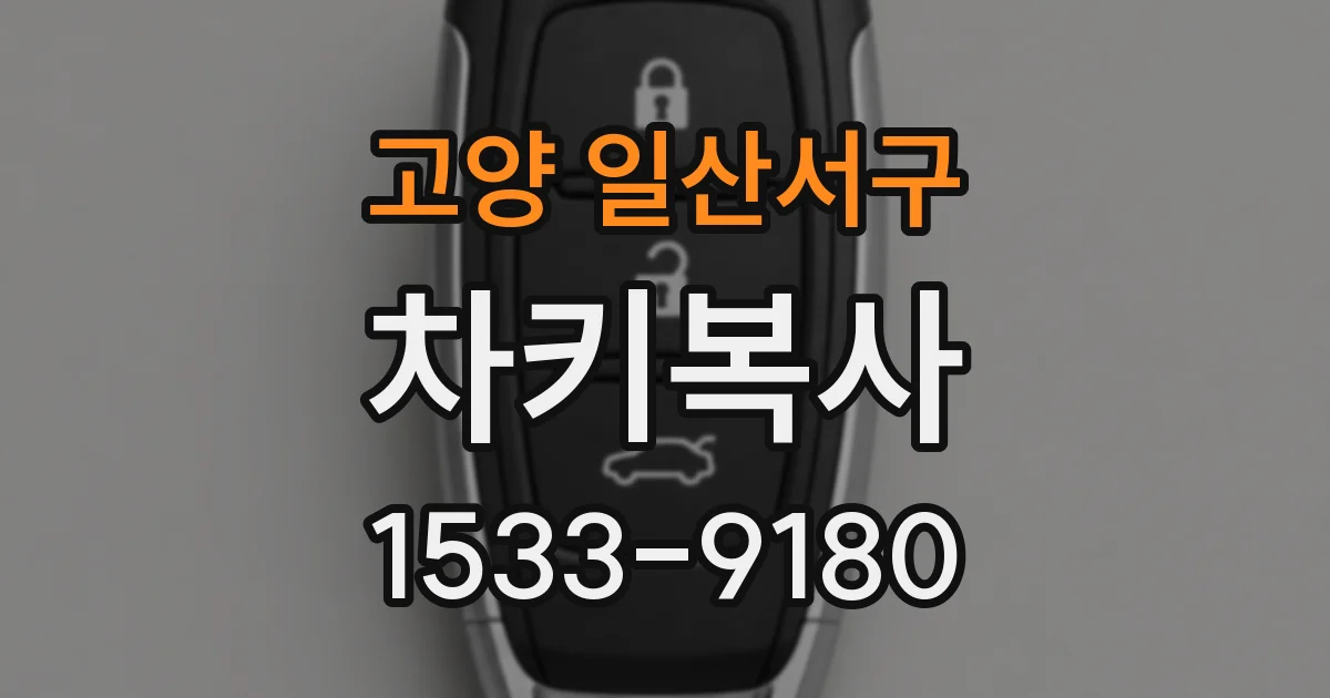 고양 일산서구 차키복사
