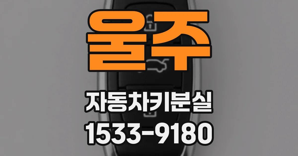 울주 자동차키분실