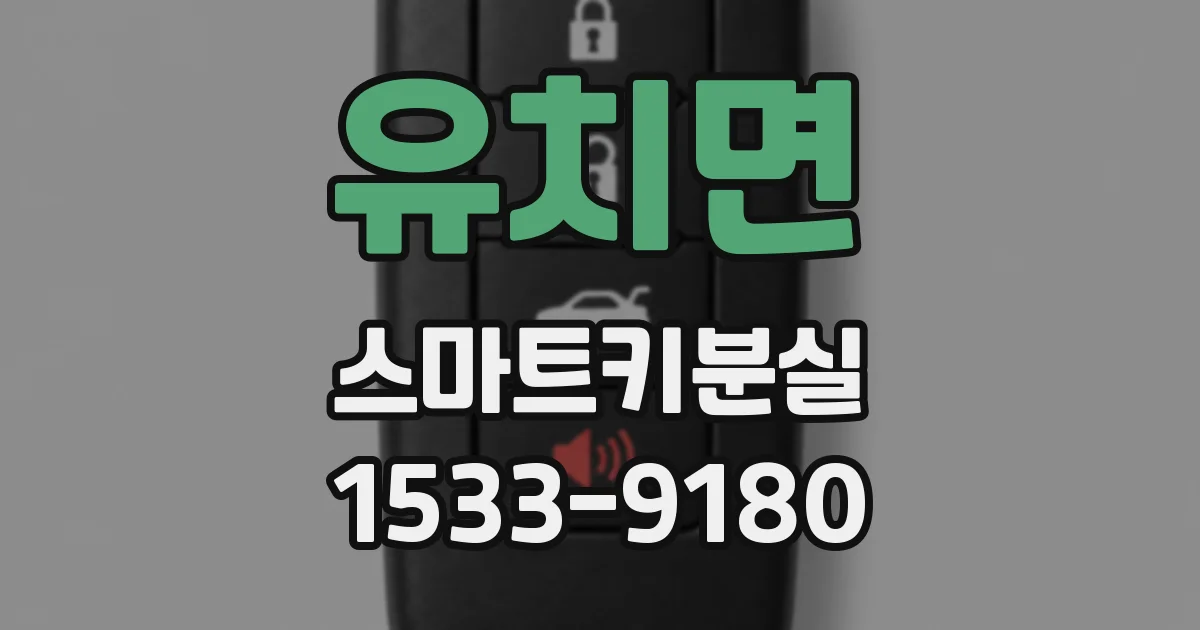 유치면 스마트키분실