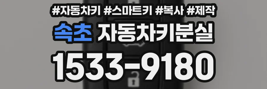 속초 자동차키분실