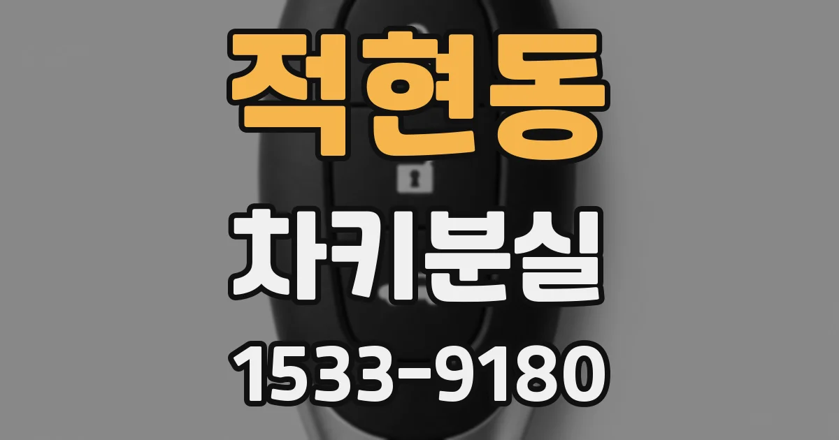 적현동 차키분실