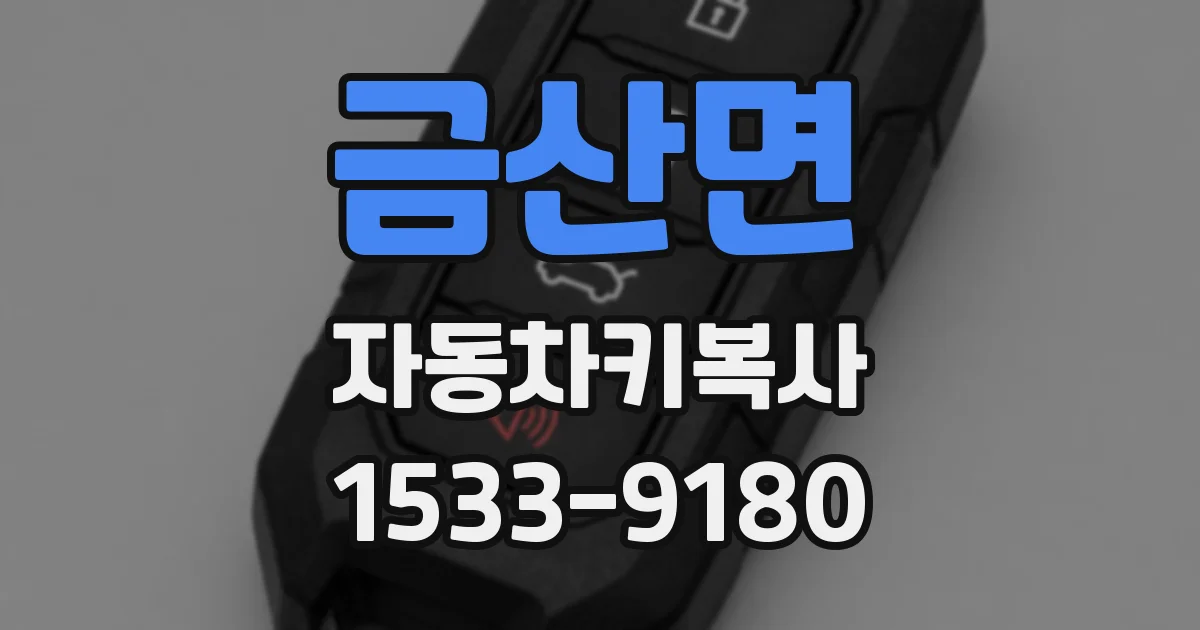 금산면 자동차키복사