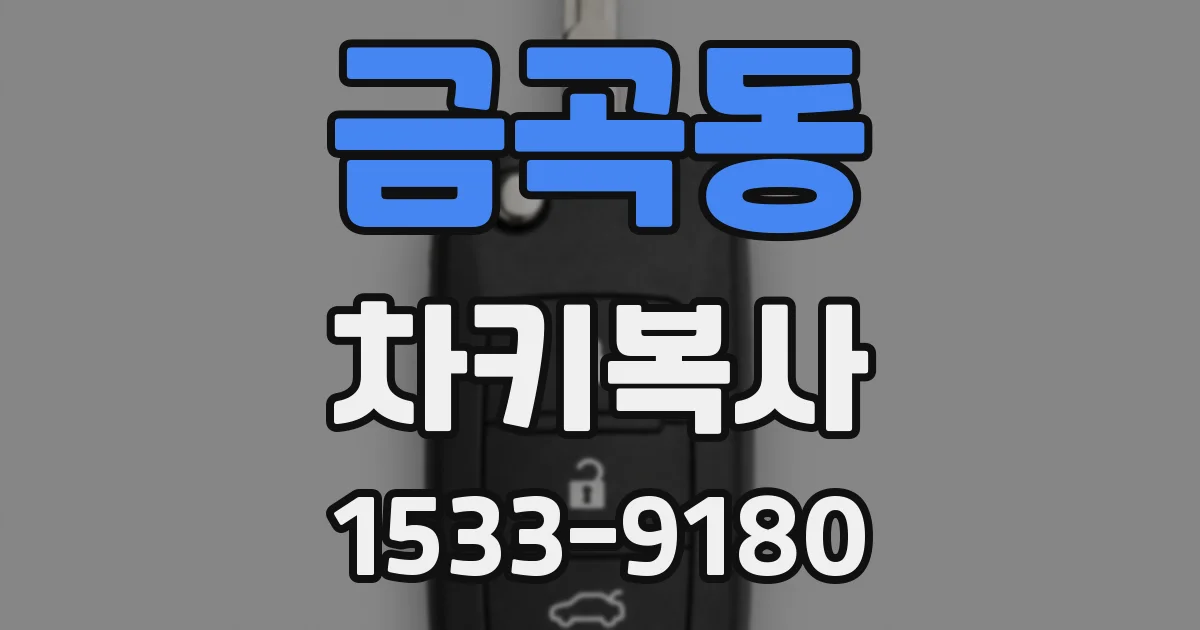 금곡동 차키복사