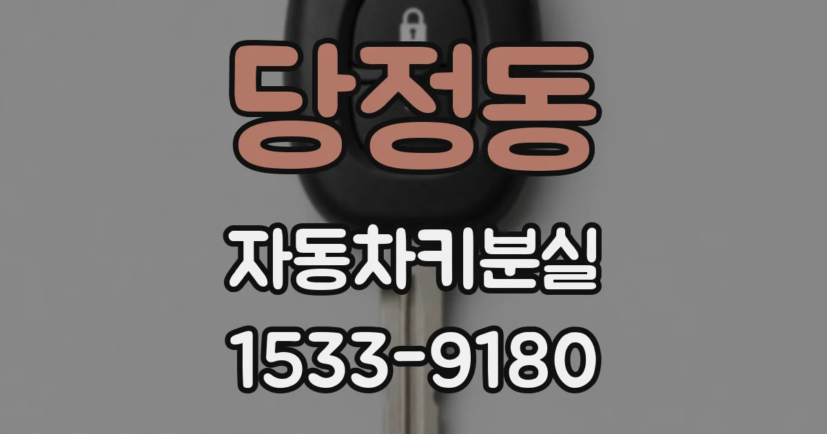 당정동 자동차키분실