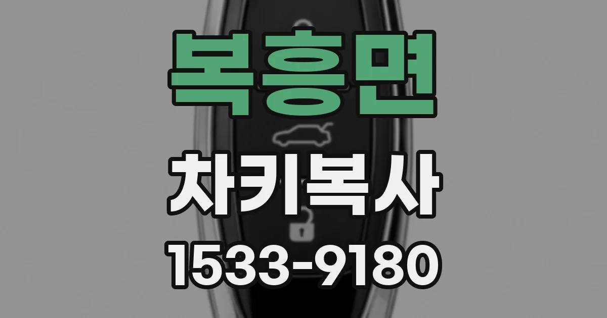 복흥면 차키복사