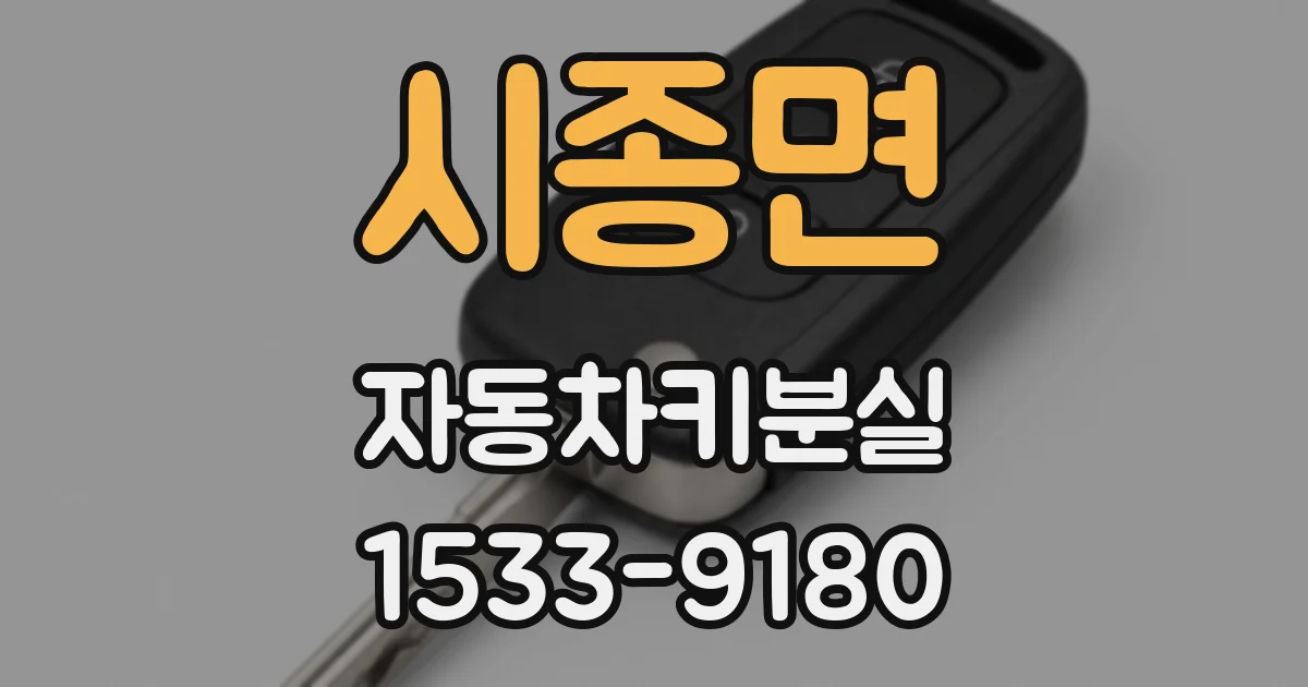 시종면 자동차키분실