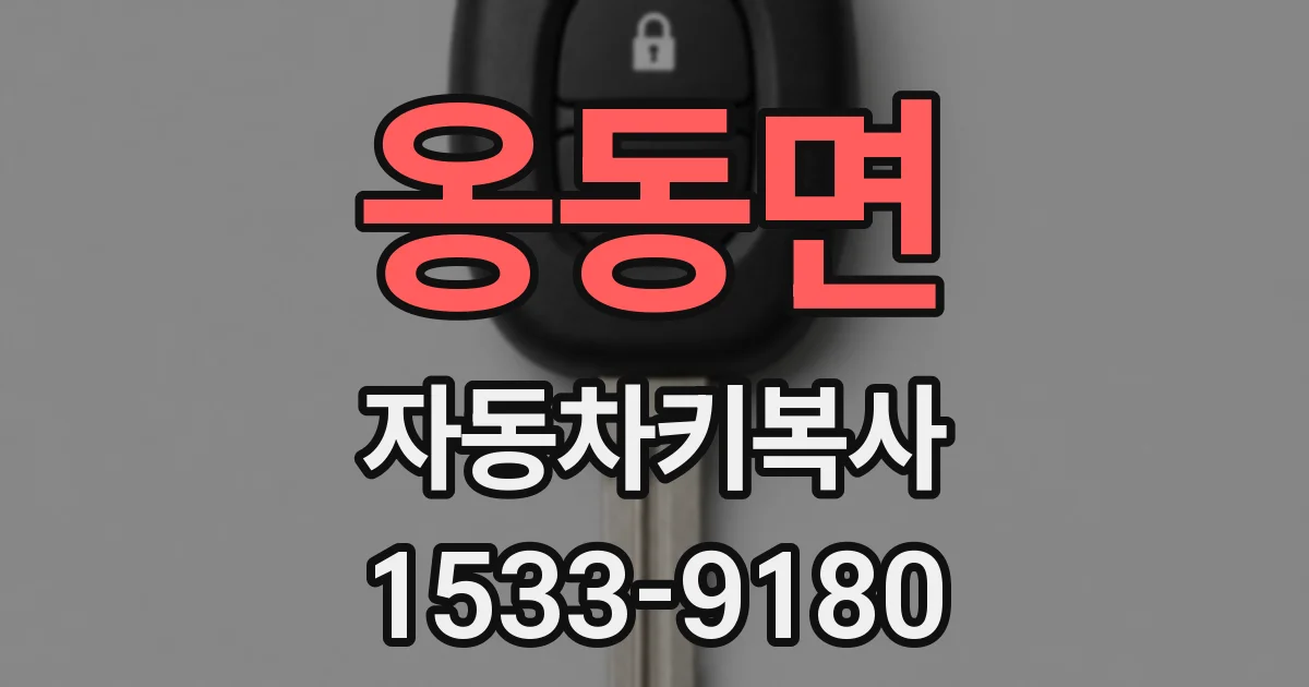옹동면 자동차키복사