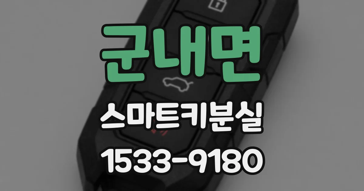 군내면 스마트키분실