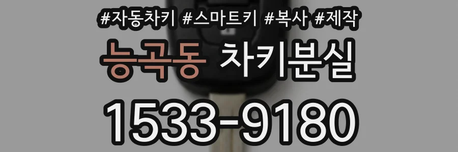 능곡동 차키분실