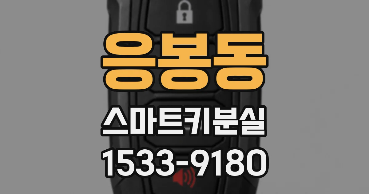 응봉동 스마트키분실