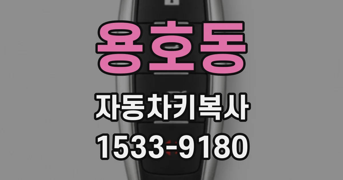 용호동 자동차키복사